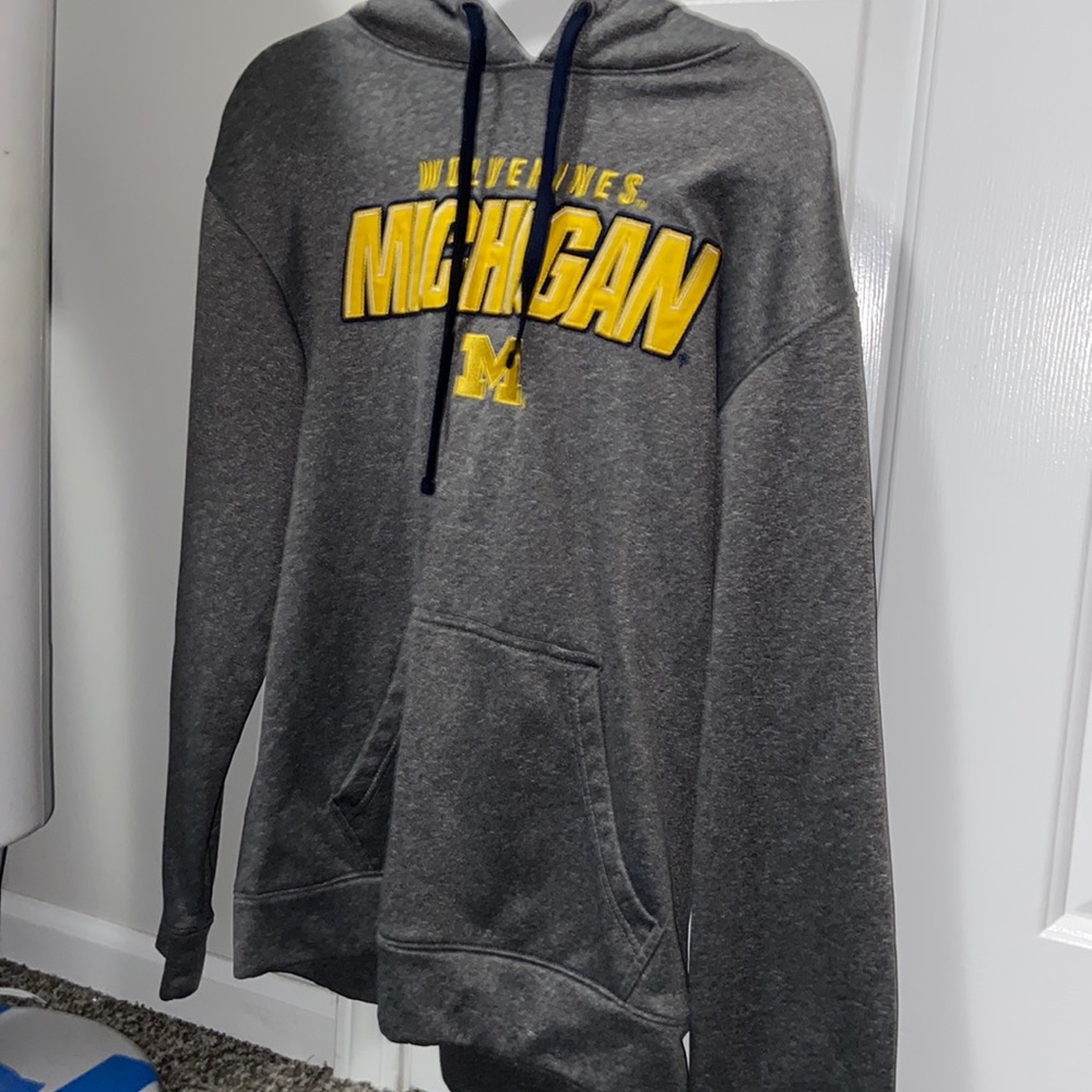 Mens Michigan hoodie
